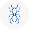 Ant Removals In Watton