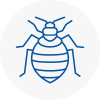 Bed Bug Extermination In Watton