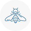 Bee Nest Removal Watton
