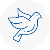 Bird Prevention Watton
