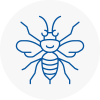 Watton Hornet Nest Removals