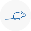 Mice Exterminators In Watton