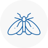 Moth Control Specialists In Watton