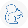 Watton Rodent Removals